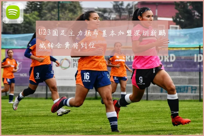 U23国足主力杨希基本加盟深圳新鹏城转会费将到位
