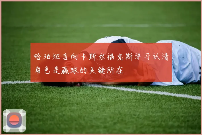 哈珀坦言向卡斯尔福克斯学习认清角色是赢球的关键所在