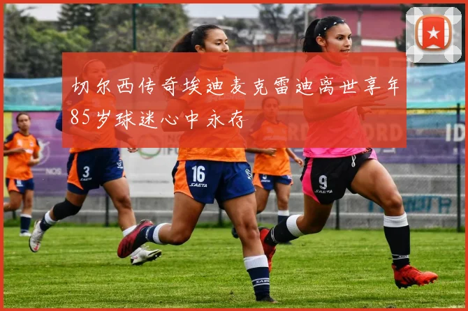 切尔西传奇埃迪麦克雷迪离世享年85岁球迷心中永存